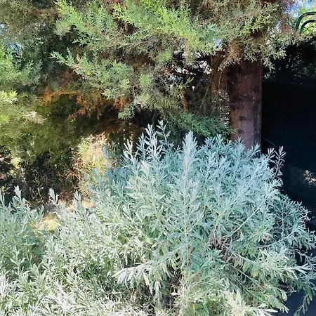 The Farm House.23 Tatil Evi *