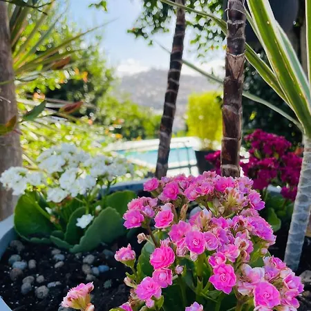 Vakantiehuis The Farm House.23 Funchal (Madeira)