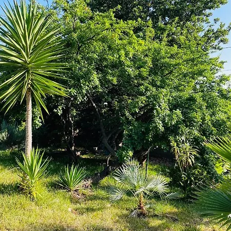 The Farm House.23 * Funchal (Madeira)
