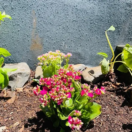 The Farm House.23 פונשל