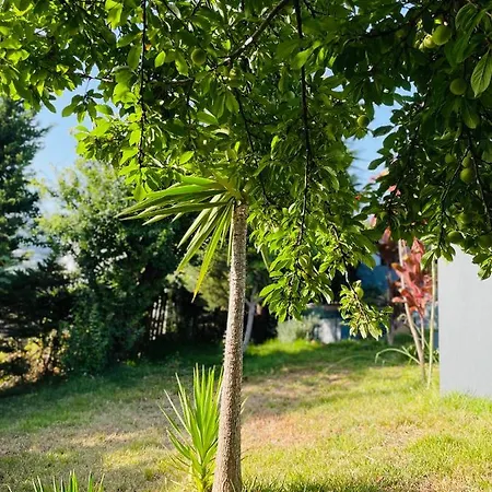 Vakantiehuis The Farm House.23 *