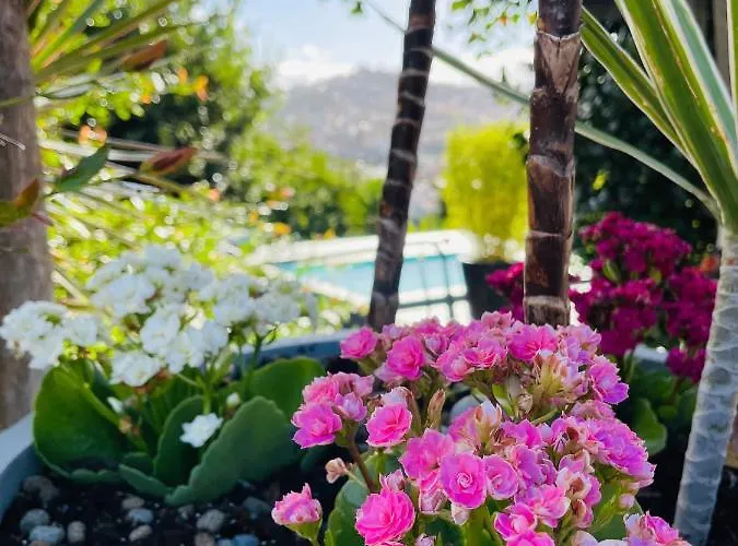 度假居 The Farm House.23 丰沙尔