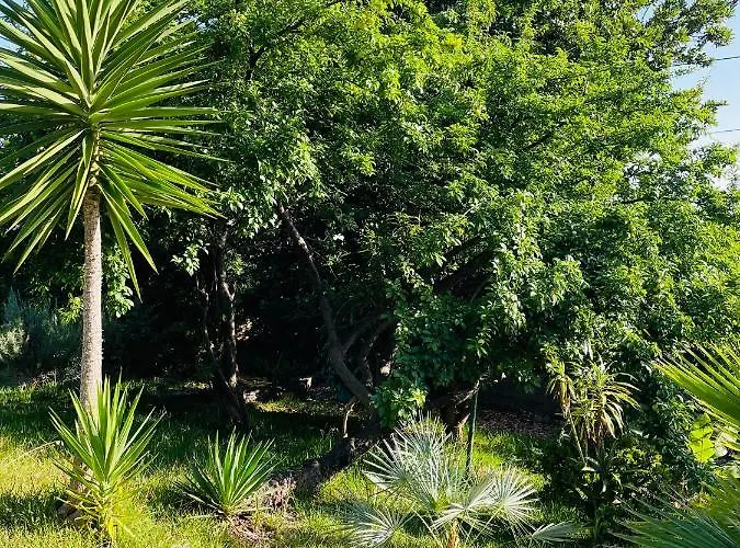 The Farm House.23 * Funchal (Madeira)