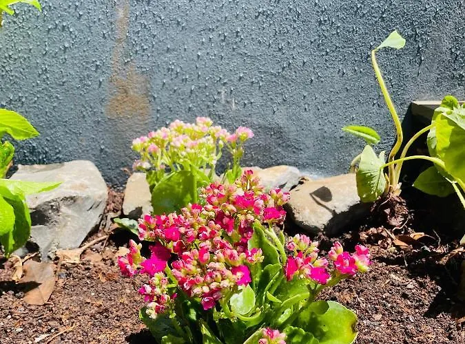 The Farm House.23 丰沙尔