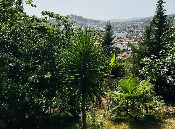 The Farm House.23 Funchal (Madeira)