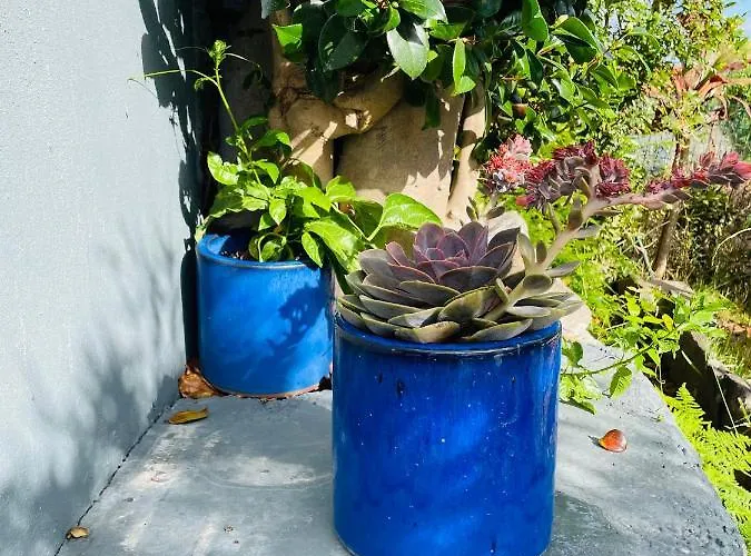 度假居 The Farm House.23 *