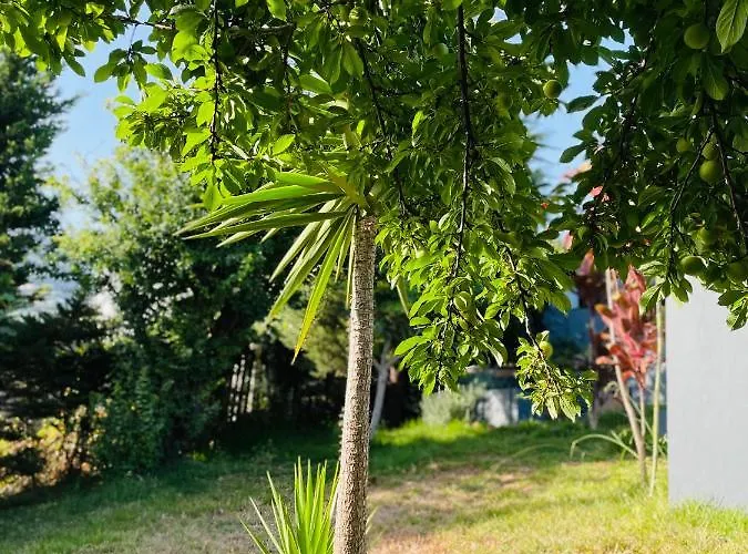 度假居 The Farm House.23 *