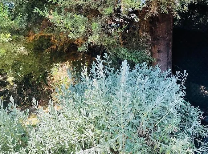 The Farm House.23 度假居 *